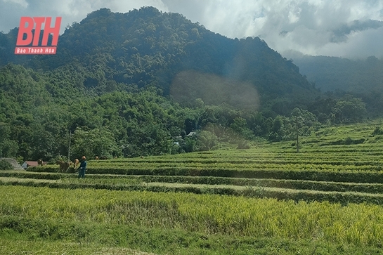 Đổi thay trên đất Nghèo - đất Khó