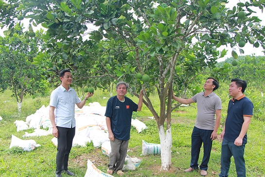 Nhìn lại 10 năm thực hiện Quyết định 218 ở Lang Chánh