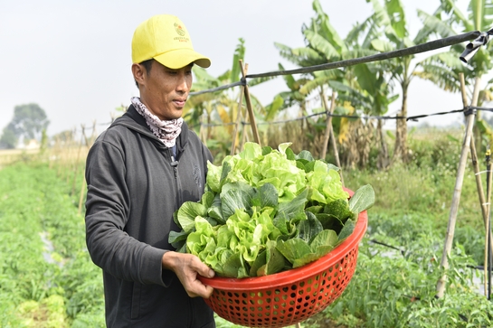 Khởi nghiệp “xanh” vì tương lai nông sản Việt