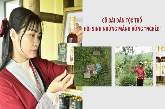 Cô gái dân tộc Thổ hồi sinh những mảnh rừng “nghèo”