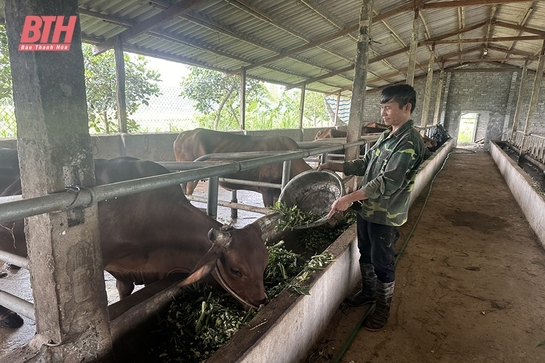 Ý chí làm nên thành công của hội viên nông dân nghèo