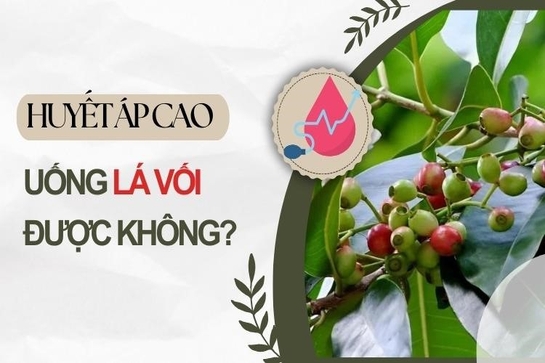 Người bị huyết áp cao uống lá vối được không - Góc nhìn khoa học và thực tế