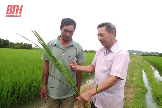 Hồi sinh “đất chết”