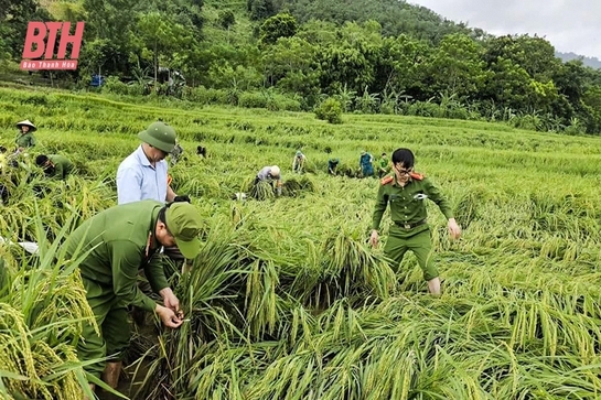 Bảo vệ cây trồng trong mùa mưa bão