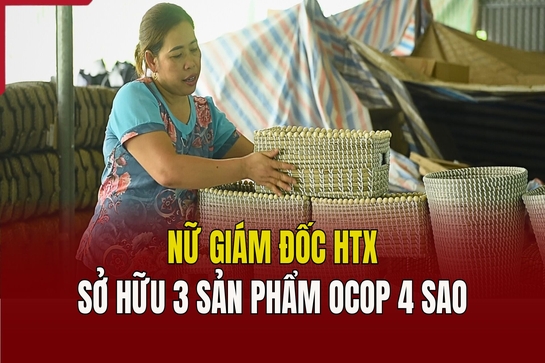 Nữ giám đốc HTX sở hữu 3 sản phẩm OCOP 4 sao