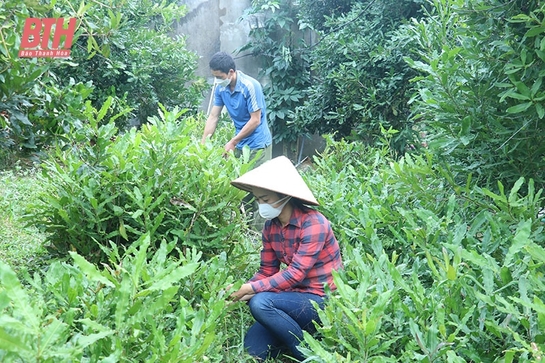 Tháo gỡ khó khăn trong áp dụng khoa học - kỹ thuật vào sản xuất nông nghiệp