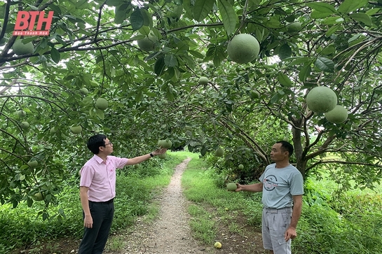 Hỗ trợ nông dân phát triển kinh tế hiệu quả