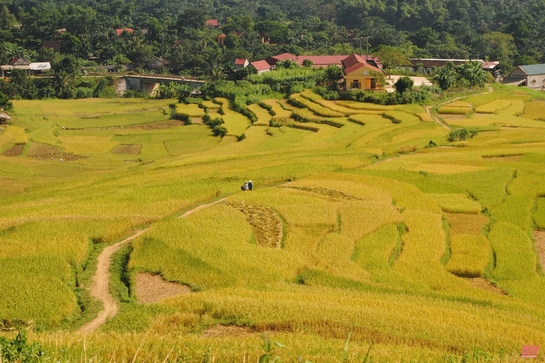 Pù Luông - Mùa đông ngủ yên trên triền núi