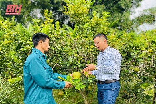 Quan Sơn chú trọng công tác luân chuyển, điều động cán bộ