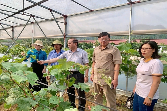 Tiếp sức cho nông dân làm giàu