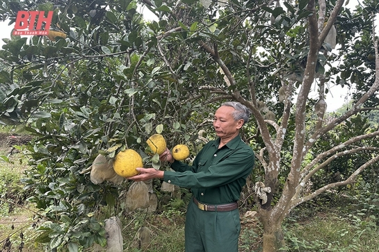 Gương cựu chiến binh làm kinh tế giỏi, tích cực tham gia công tác hội