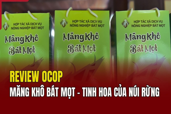 [REVIEW OCOP] - Măng khô Bát Mọt: Tinh hoa của núi rừng