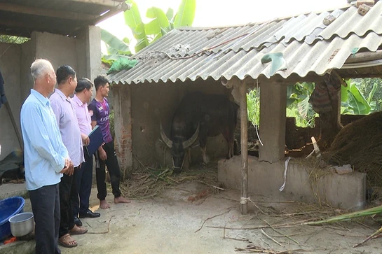 Thọ Xuân: Hơn 12 nghìn trường hợp được vay vốn tín dụng chính sách