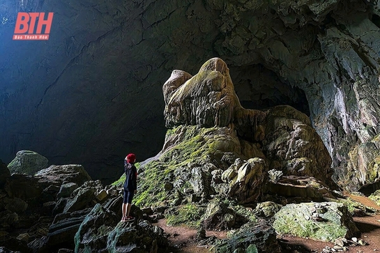 Kỳ bí hang Dơi