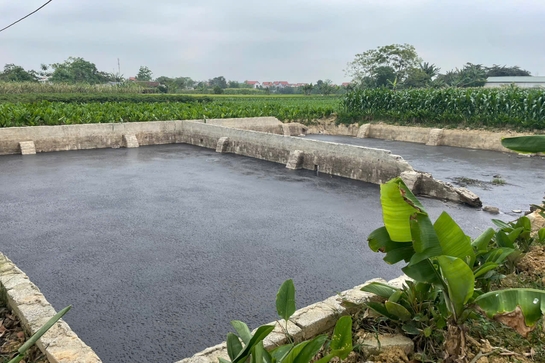 Thiệu Hóa: Dừng hoạt động trang trại chăn nuôi lợn do vi phạm quy định về bảo vệ môi trường