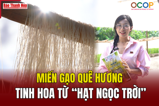 [REVIEW OCOP] Miến gạo Quê hương – Tinh hoa từ “hạt ngọc trời”