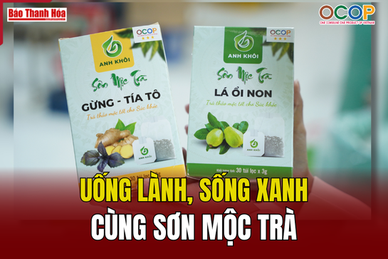[REVIEW OCOP] Uống lành, sống xanh cùng Sơn Mộc Trà