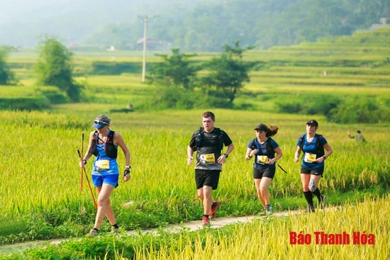Lượng khách du lịch quốc tế đến Thanh Hóa tăng mạnh