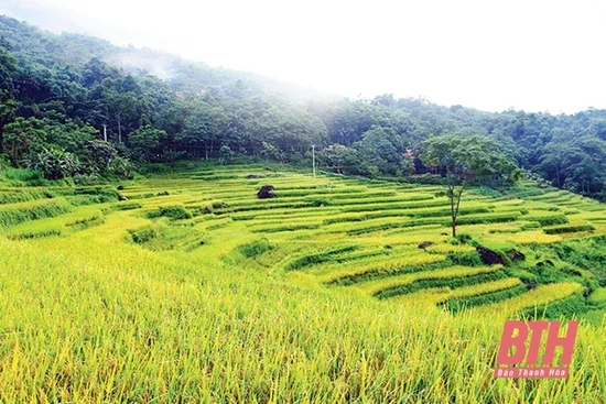 Thống nhất tổ chức Cuộc thi ảnh nghệ thuật “Về miền di tích, danh thắng xứ Thanh”