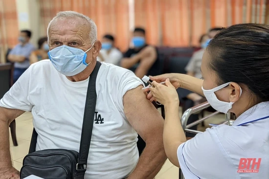 HLV Ljupko Petrovic đồng ý tiếp tục gắn bó với Đông Á Thanh Hóa