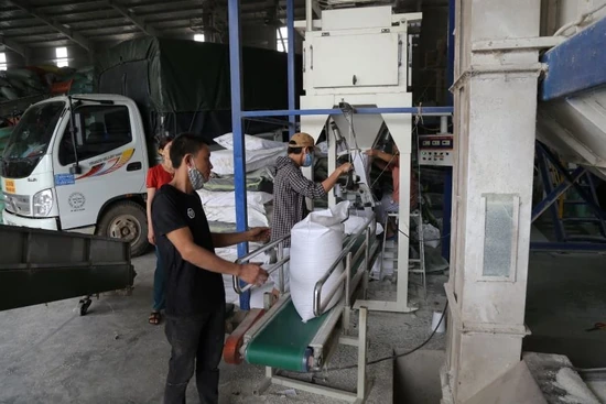 Quy định chi tiết và hướng dẫn thi hành một số điều của Luật Hỗ trợ doanh nghiệp nhỏ và vừa theo Nghị định 80/2021/NĐ-CP