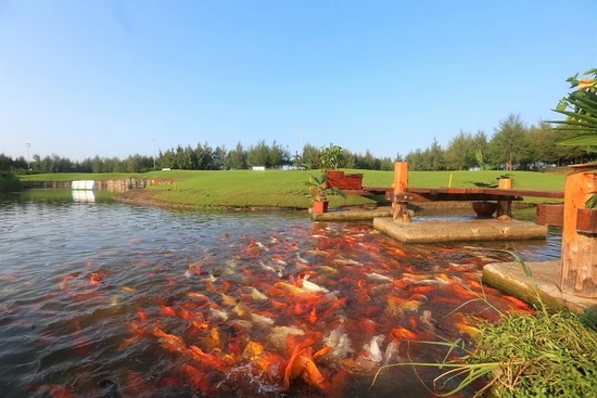 Những điểm Check-in không thể bỏ lỡ hè này của golfer
