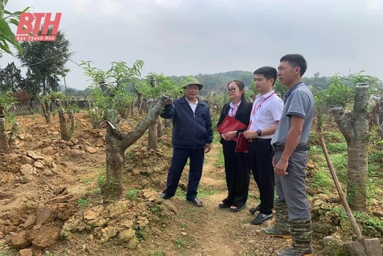 “Cánh tay nối dài
