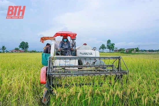 Vụ lúa xuân 2023 được mùa trên nhiều phương diện