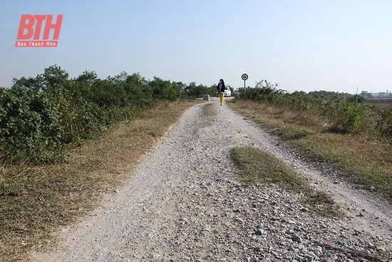 Nỗi lo đê điều xuống cấp