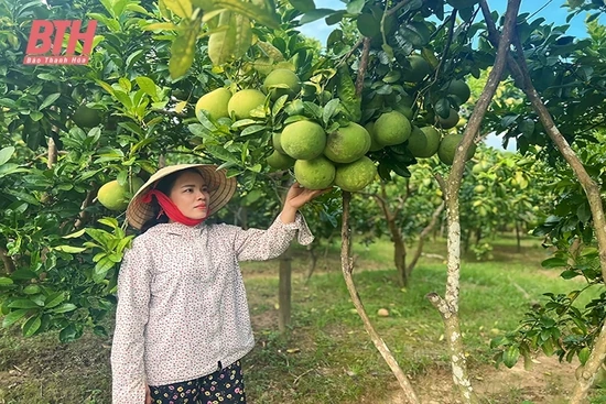 Ứng dụng công nghệ cao vào sản xuất nông nghiệp