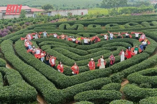 Khảo sát điểm đến, dịch vụ du lịch trên địa bàn Mộc Châu