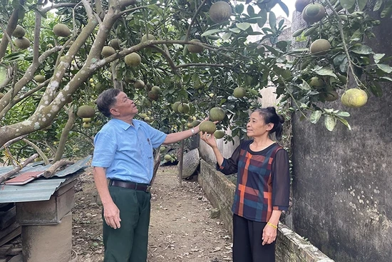Xây dựng lối sống xanh: Việc làm nhỏ, ý nghĩa lớn
