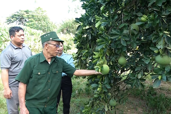 Thương binh làm kinh tế giỏi, hết lòng vì cộng đồng