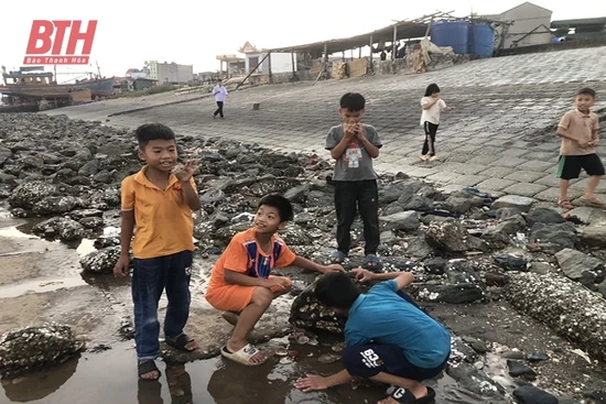 Những đứa trẻ lớn lên cùng biển