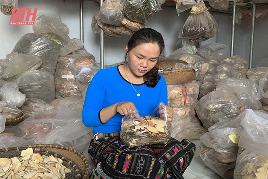 Y sĩ đông y Hoàng Thị Chon tận tâm với nghề