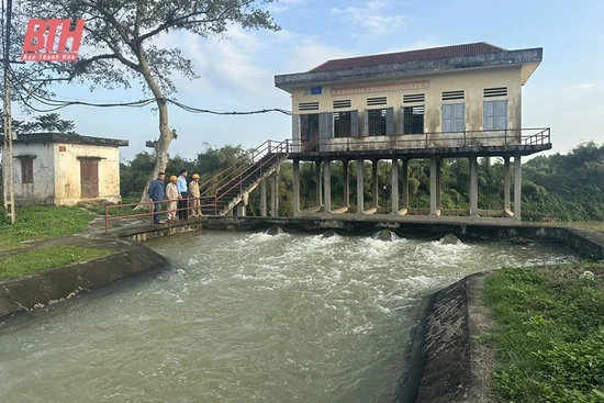 Thạch Thành: Chủ động bảo đảm nước tưới cho cây trồng vụ chiêm xuân