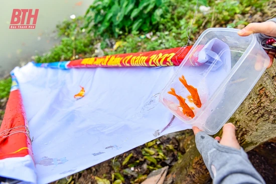 Nét đẹp ngày thả cá chép tiễn ông Công ông Táo về trời