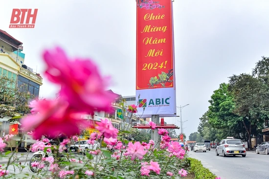 TP Thanh Hóa rực rỡ cờ hoa mừng Đảng, mừng Xuân