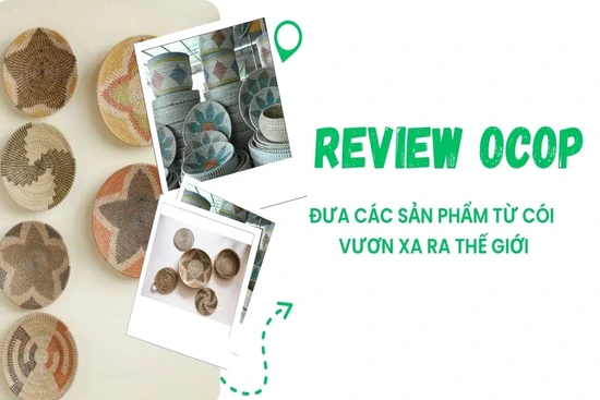 [REVIEW OCOP] Đưa các sản phẩm từ cói vươn xa