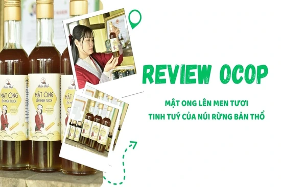 [REVIEW OCOP] Mật ong lên men tươi - Tinh tuý của núi rừng bản Thổ