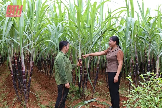 Thạch Thành điều động, luân chuyển cán bộ chủ chốt không phải người địa phương