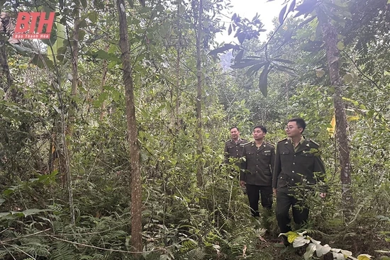 Giữ rừng ở vùng biên Quan Sơn