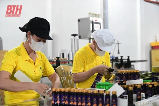 Xứ Thanh - Nơi hội tụ sản phẩm tinh hoa (Bài 2): Sản phẩm OCOP khẳng định thương hiệu, vươn tầm quốc tế