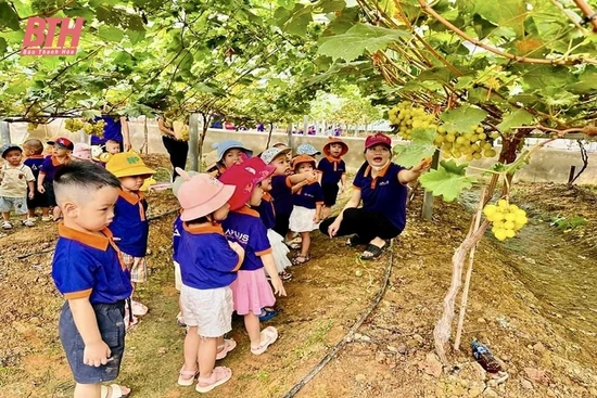 Những mô hình hiệu quả trong HTX kiểu mới