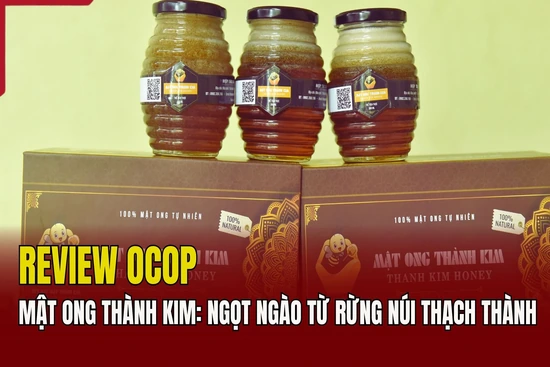 [REVIEW OCOP] Mật ong Thành Kim: Ngọt ngào từ rừng núi Thạch Thành