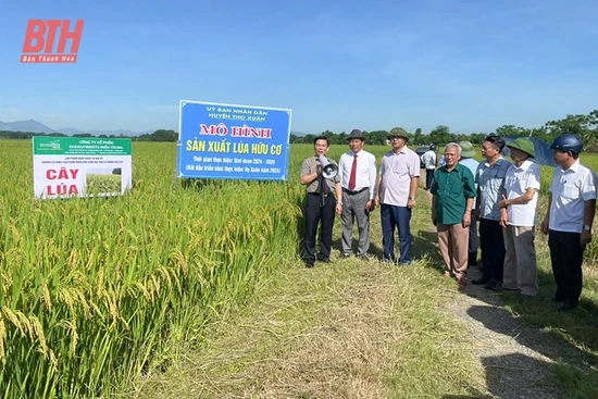 Khuyến khích sử dụng phân bón hữu cơ trong sản xuất nông nghiệp