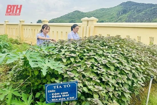 Nỗ lực thực hiện Bộ tiêu chí quốc gia về y tế