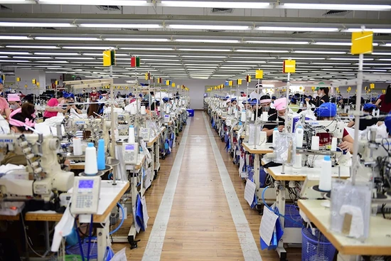 Công ty TNHH Sakurai Việt Nam: Hành trình vững bước vươn xa, nâng tầm giá trị Việt