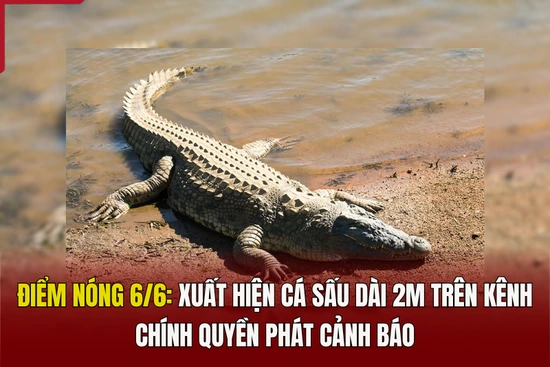 Điểm nóng 6/6: Xuất hiện cá sấu dài 2m trên kênh, chính quyền phát cảnh báo