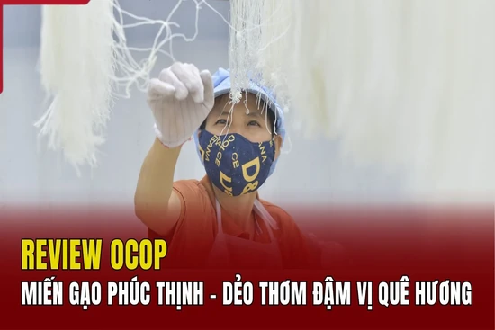 [REVIEW OCOP] Miến gạo Phúc Thịnh - Sợi miến dẻo dai, hương quê đậm đà